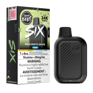 FLAVOUR BEAST SIX 24K PUFFS (AB)