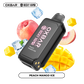 SVOPP PODS ROCKY VAPOR OXBAR 32K PUFFS (EXCISE AB)