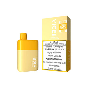 VICE BOX 6000 PUFFS