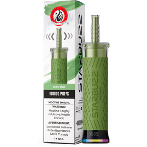 STARBUZZ E-HOSE 100K PUFFS STYLE (AB)