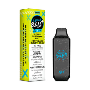 FLAVOUR BEAST FLOW 4000 PUFFS